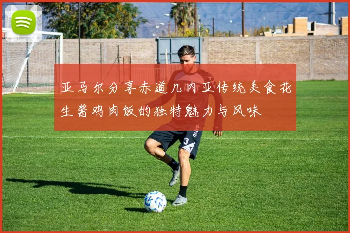 亚马尔分享赤道几内亚传统美食花生酱鸡肉饭的独特魅力与风味