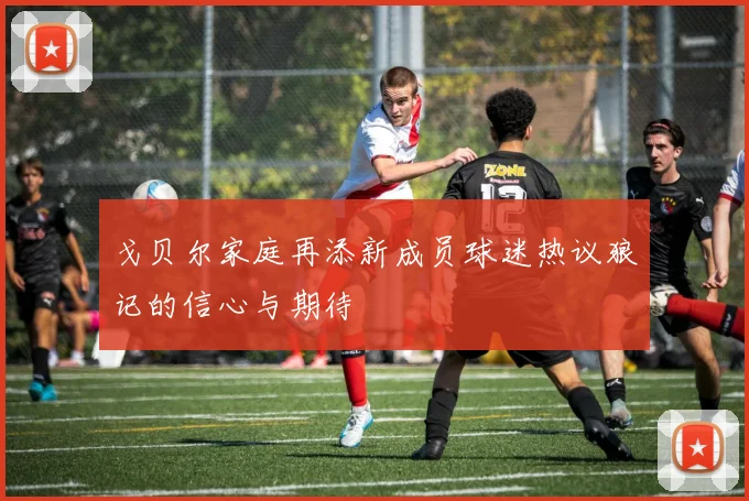 戈贝尔家庭再添新成员球迷热议狼记的信心与期待