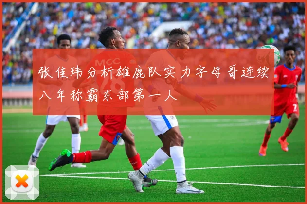 张佳玮分析雄鹿队实力字母哥连续八年称霸东部第一人