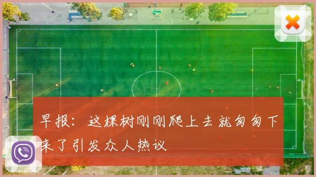 早报：这棵树刚刚爬上去就匆匆下来了引发众人热议