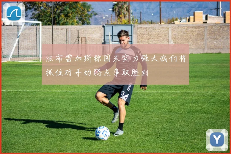 法布雷加斯称国米实力强大我们将抓住对手的弱点争取胜利