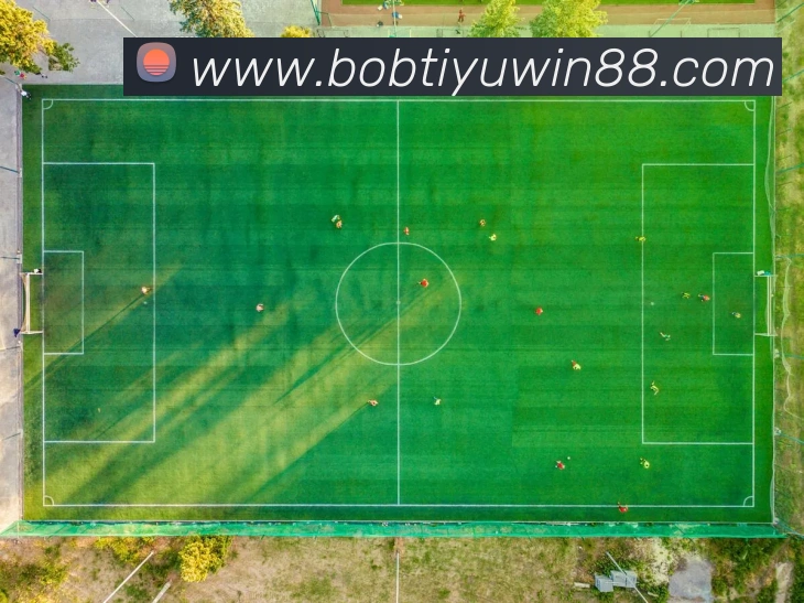 BOB体育发展历程